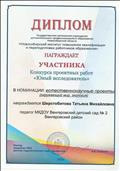Диплом участника Конкурса проектных работ "Юный исследователь"
